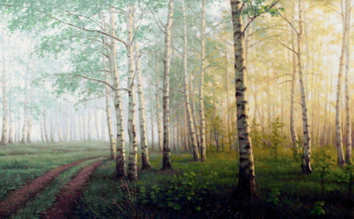 Березки - лес, березы, весна, дорога, деревья, пейзаж, природа - предпросмотр