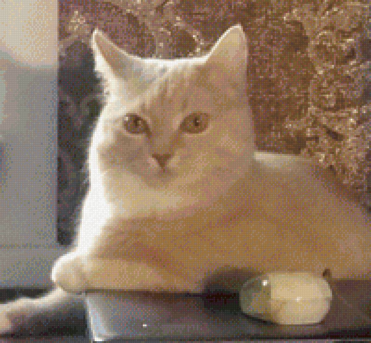 рыжик - любимец - предпросмотр