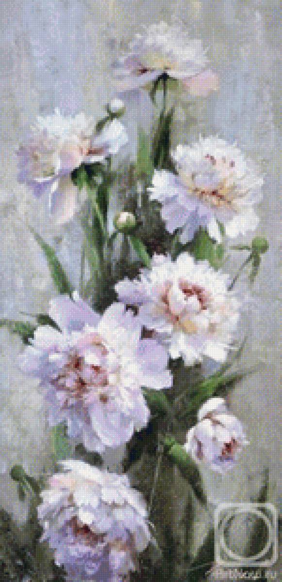 Пионы - предпросмотр