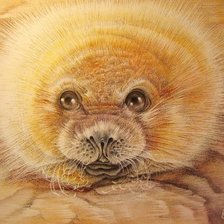 Схема вышивки «№2218059»