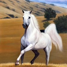 Схема вышивки «Cavalo.»