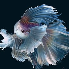 Схема вышивки «Peixes.»