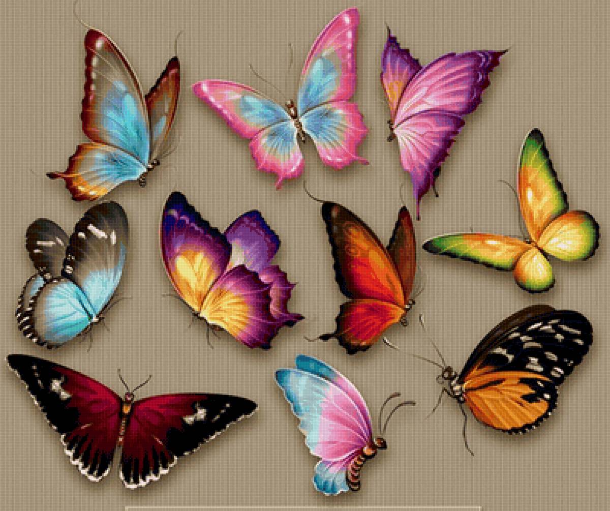 БАБОЧКИ-1 - предпросмотр