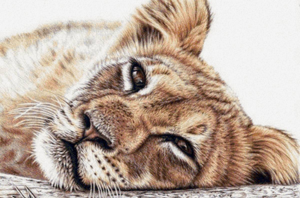 дикие - предпросмотр