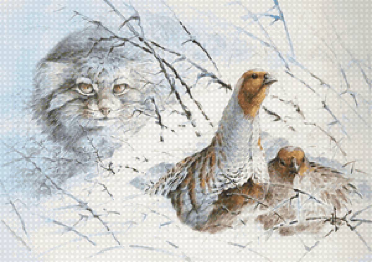 Охота манула - манул, кот, охота, зима - предпросмотр