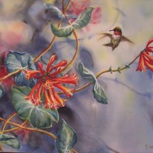 Схема вышивки «Колибри»