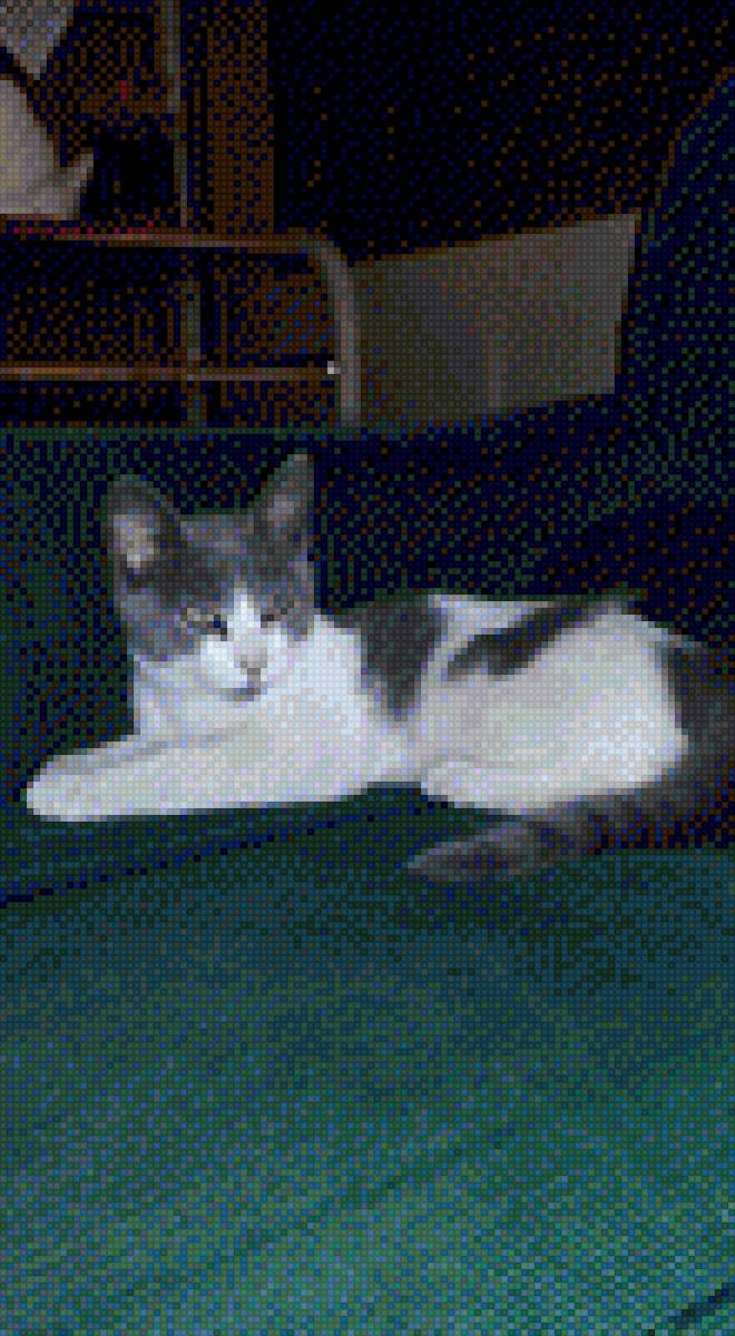 gatita - princesa - предпросмотр