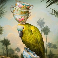 Схема вышивки «Попугай»