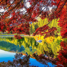 Схема вышивки «Отражение»