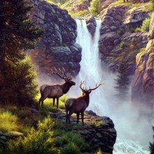 Схема вышивки «Олени»