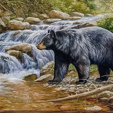 Схема вышивки «Shadow of the Forest.»