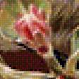 Предпросмотр схемы вышивки «Птичка» (№2220512)