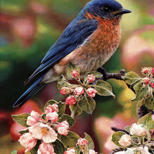 Схема вышивки «Птичка»