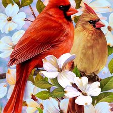 Схема вышивки «Птичка»