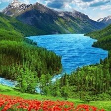 Схема вышивки «Природа»