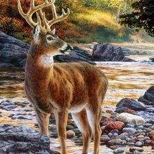 Схема вышивки «Олень»