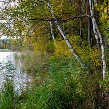 Схема вышивки «Лесное озеро»