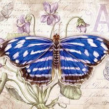 Схема вышивки «Бабочка»