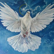 Схема вышивки «Pomba da paz.»