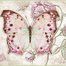 Схема вышивки «Бабочка»