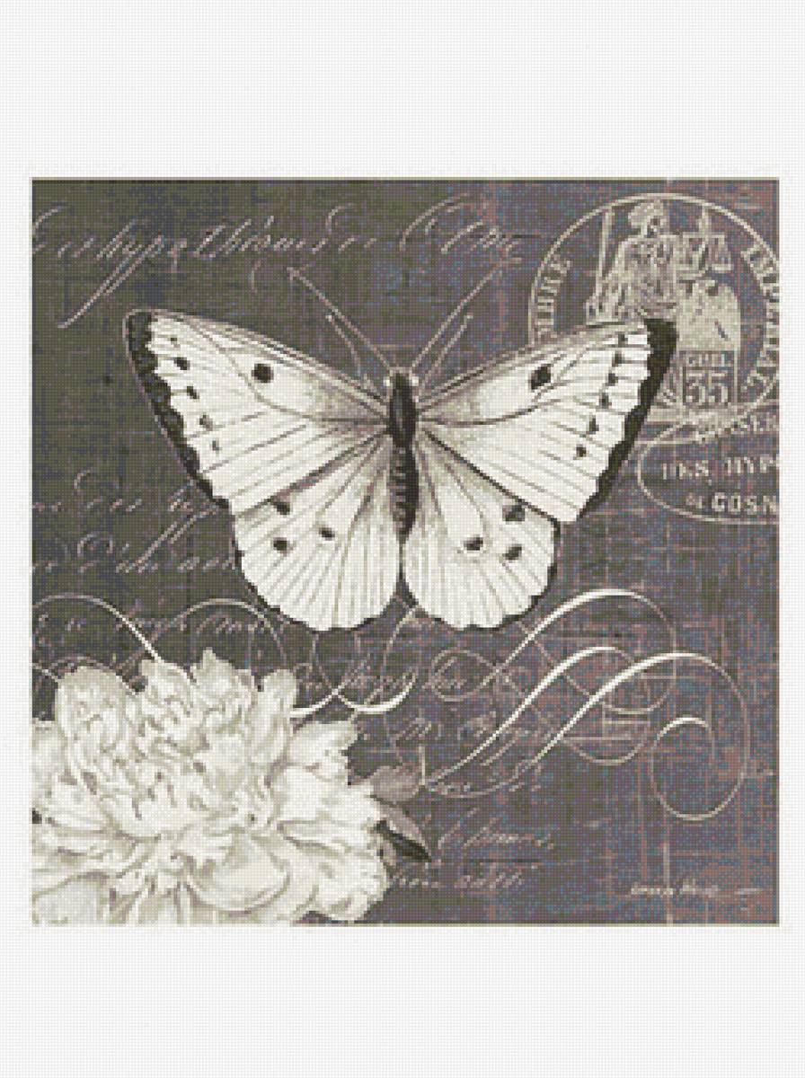 Бабочка - марка, бабочка, открытка - предпросмотр