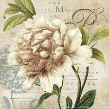 Схема вышивки «Цветок»