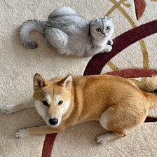 Схема вышивки «Глория и Мэри»