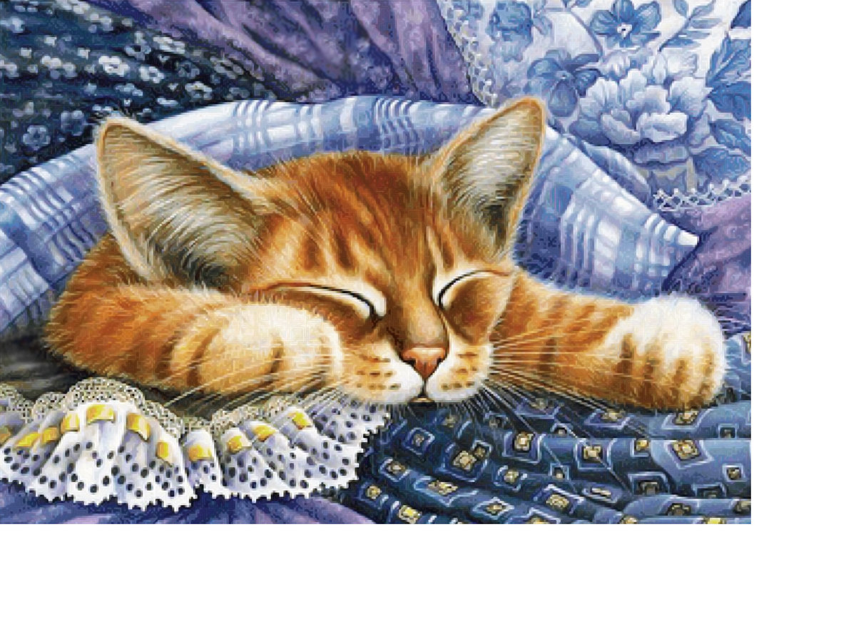 Серия "Коты". - животные, коты - оригинал