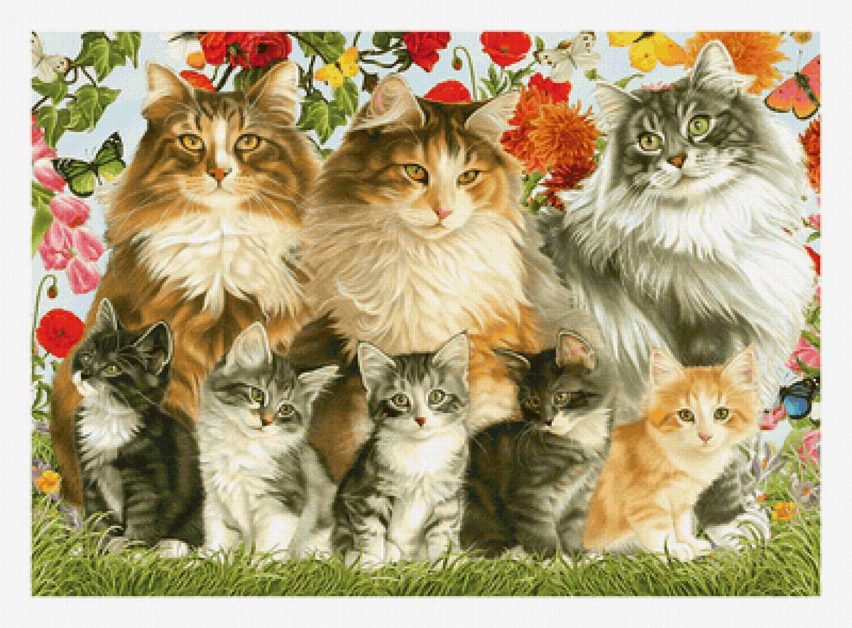 Серия "Коты". - животные, коты - предпросмотр