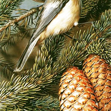 Схема вышивки «Серия "Птицы"»