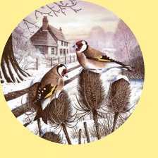 Схема вышивки «Серия "Птицы"»