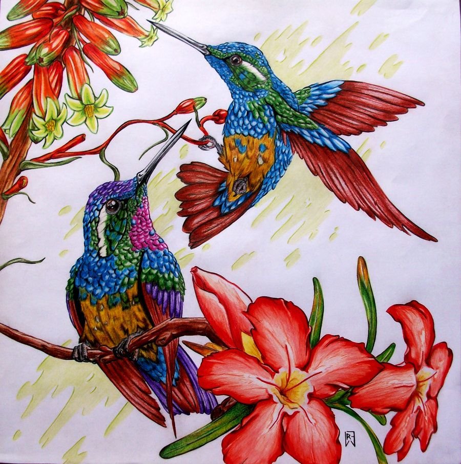 Колибри - оригинал