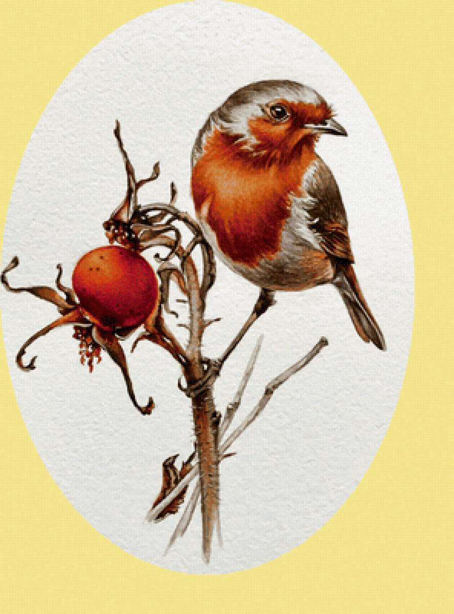 Серия "Птицы" - птицы, фауна - предпросмотр