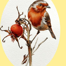 Схема вышивки «Серия "Птицы"»