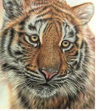 Схема вышивки «№2221909»