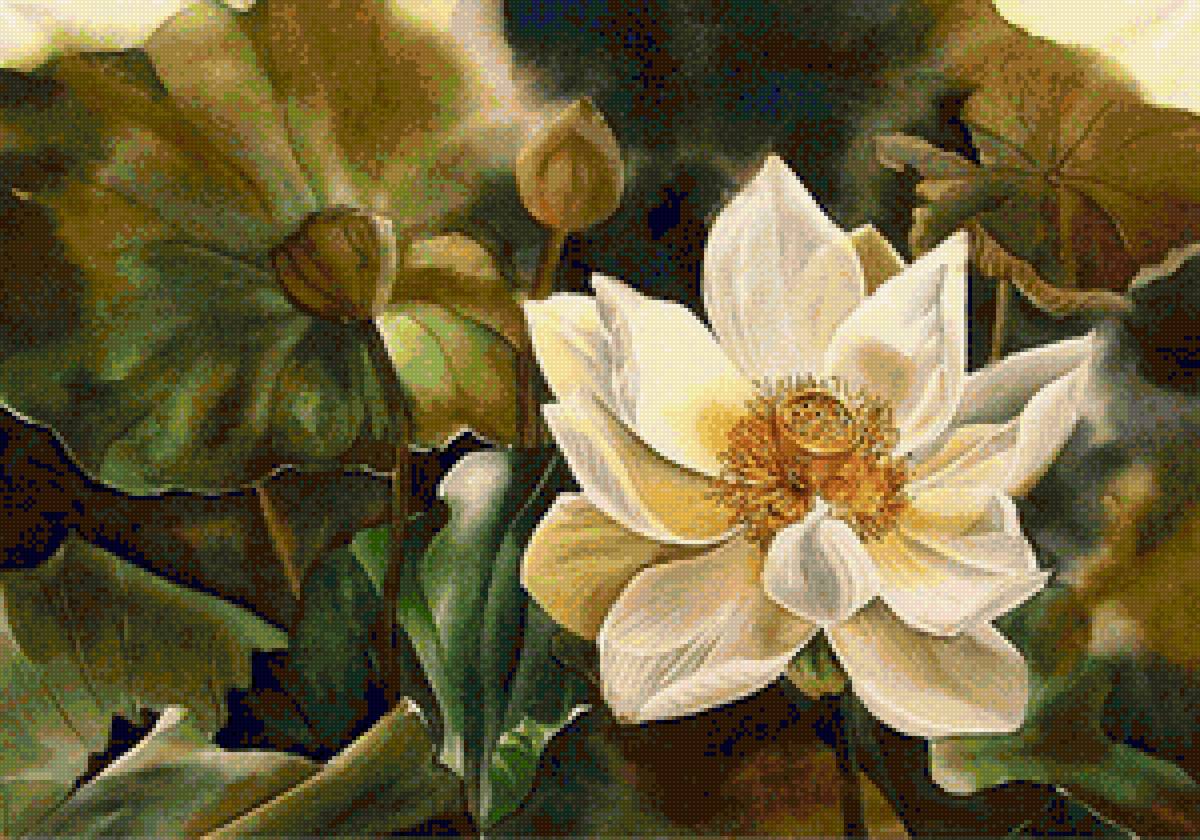 Lotos - 300x210 - предпросмотр