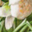 Предпросмотр схемы вышивки «Натюрморт» (№2222054)
