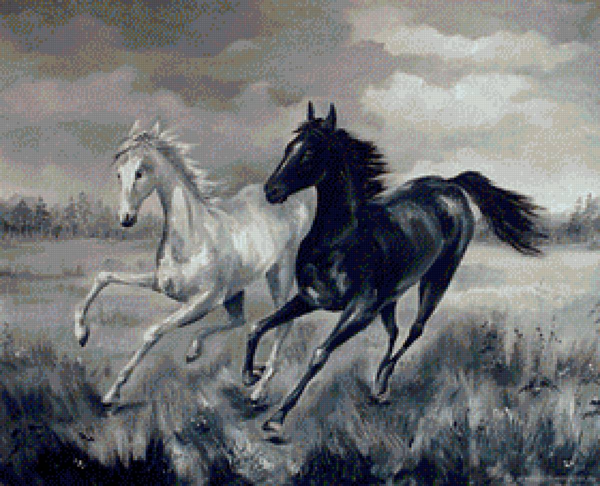 Пара лошадей - лошади, монохром, пара - предпросмотр