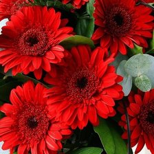 Схема вышивки «Букет гербер»