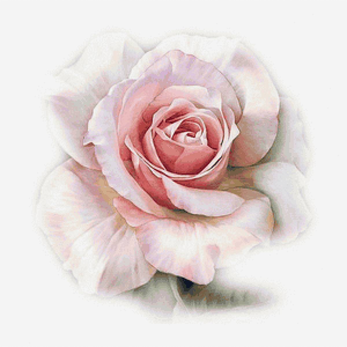 цветы - предпросмотр