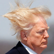 Схема вышивки «Трамп»