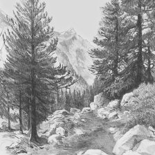 Лес в карандаше