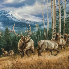 Схема вышивки «March in Montana.»