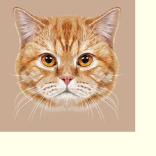 Схема вышивки «№2222750»