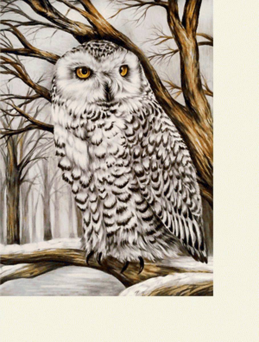 №2222755 - совы, зима, птицы - предпросмотр