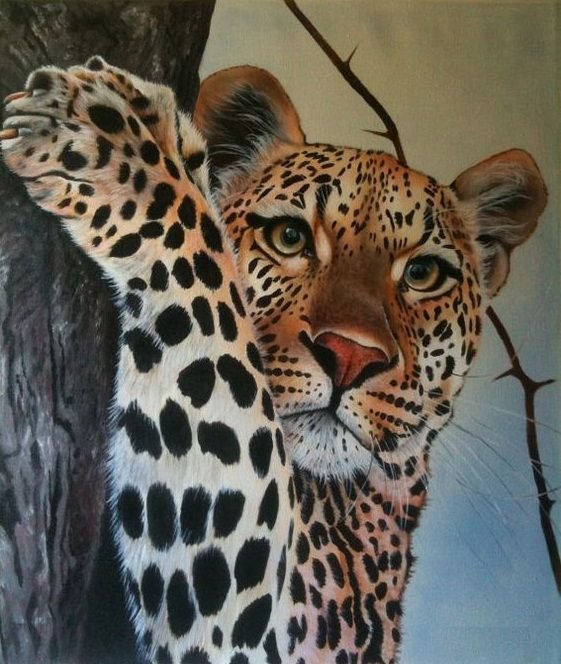 Tigre. - animais. - оригинал