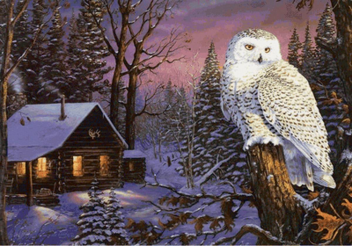 Coruja em noite de inverno. - casa, floresta, pássaro. inverno. - предпросмотр