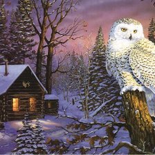 Схема вышивки «Coruja em noite de inverno.»