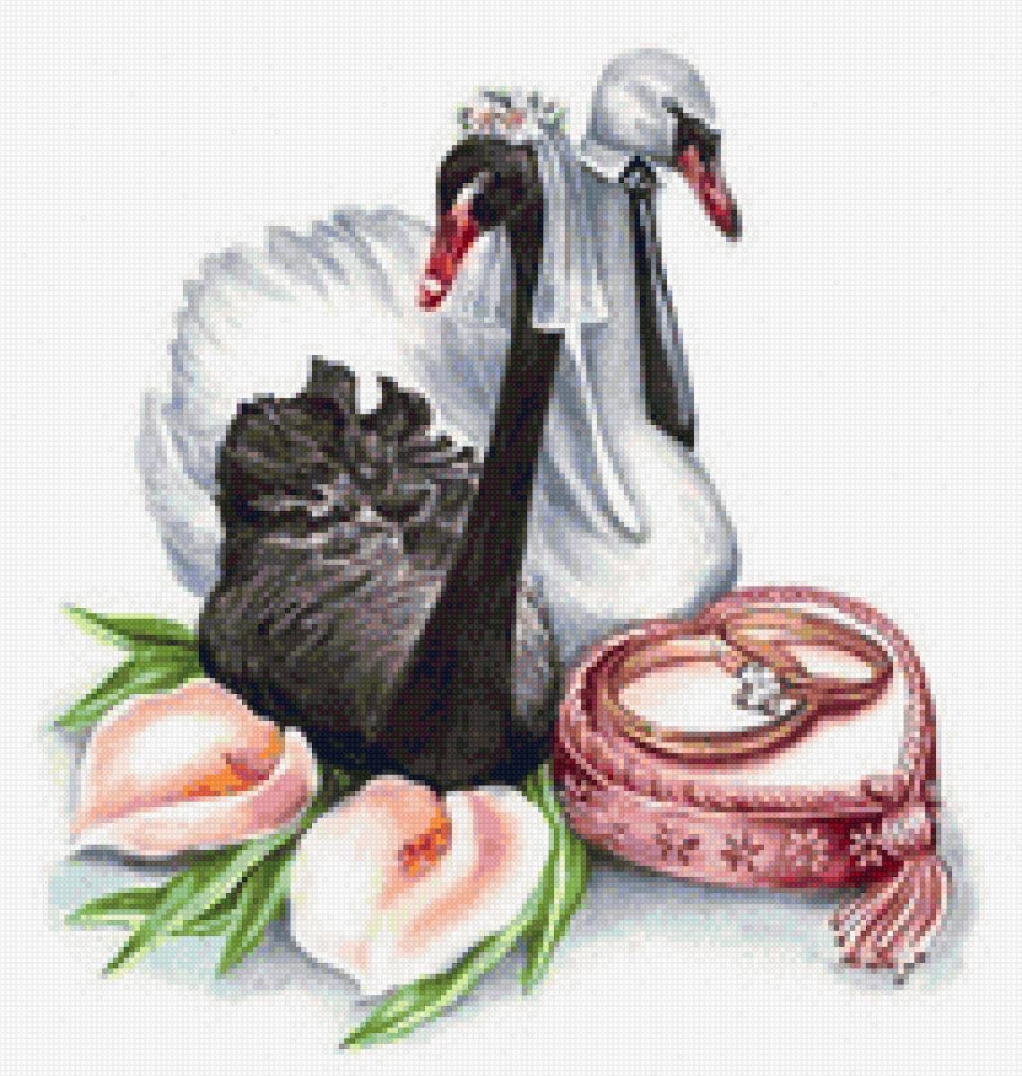 Пара лебедей - пара, свадьба, кольца, лебеди - предпросмотр