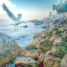 Схема вышивки «Скалистый берег»